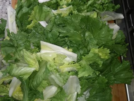 Escarole cleaned, washed and cut
