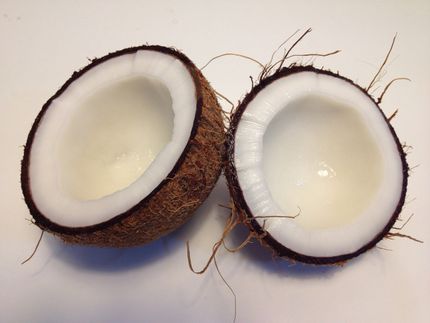 Coco for Coconut