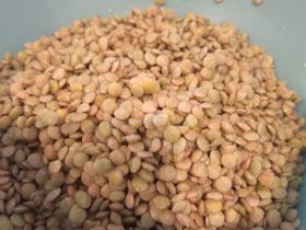 Wash and rinse lentils.
